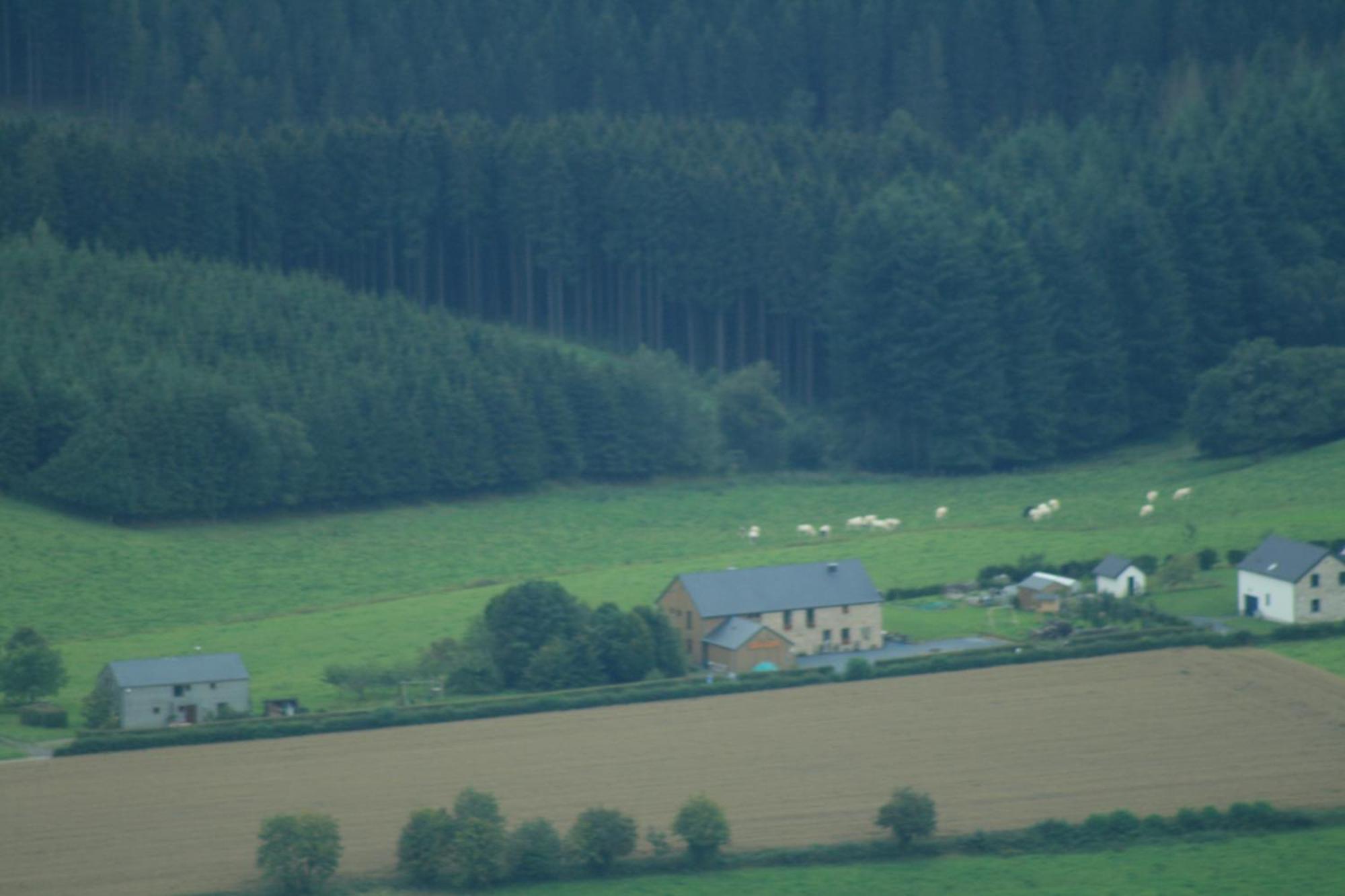 Chambres D'Hotes Les Trappeurs Silence & Nature Tenneville Экстерьер фото